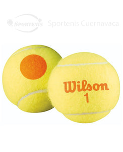 Caja de 24 Botes de 3 Pelota Wilson  Punto Naranja